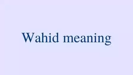 Wahid-meaning.-What-does-the-name-Wahid-meaning