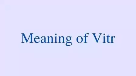 What-is-the-meaning-of-the-word-Vitr