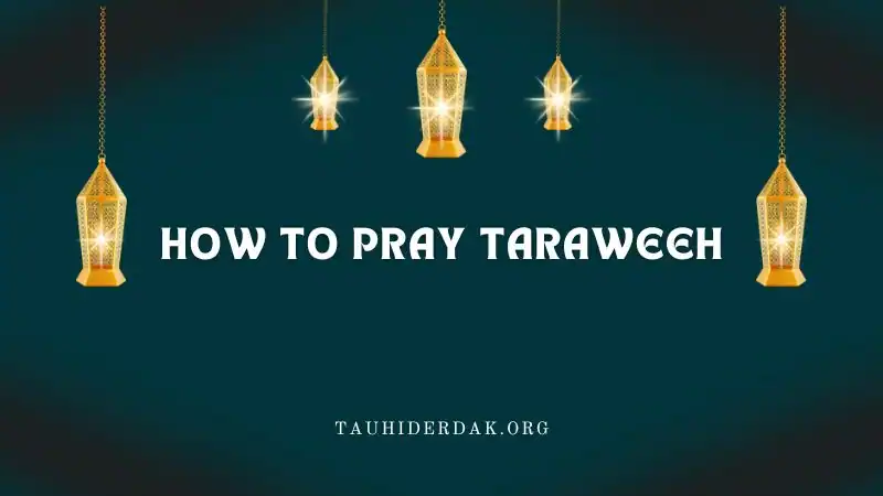 How to pray Taraweeh prayer? Taraweeh dua