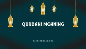 Qurbani meaning, benefits, rules, and dua in Islam