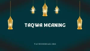 What is the meaning & importance of Taqwa in Islam