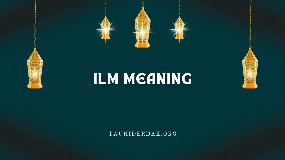 Ilm meaning in Islam. Importance of Islamic knowledge
