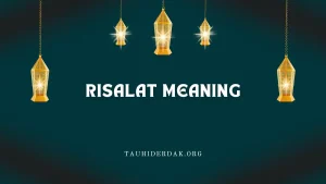 Risalat meaning in Islam. Importance of faith in Risalah