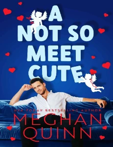 A Not So Meet Cute PDF